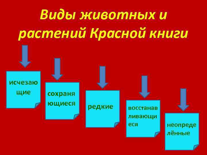 Виды животных и растений Красной книги исчезаю щие сохраня ющиеся редкие восстанав ливающи еся