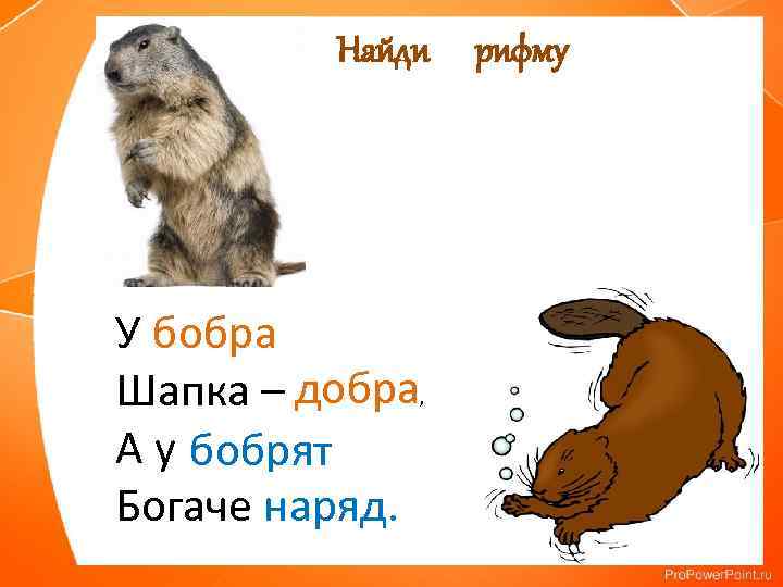 Найди У бобра Шапка – добра, А у бобрят Богаче наряд. рифму 