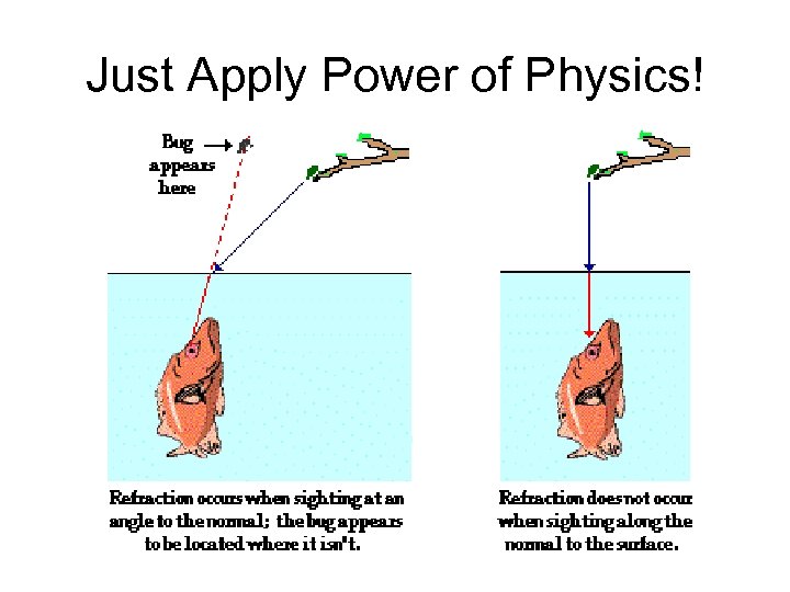 Just Apply Power of Physics! 