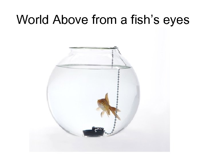 World Above from a fish’s eyes 