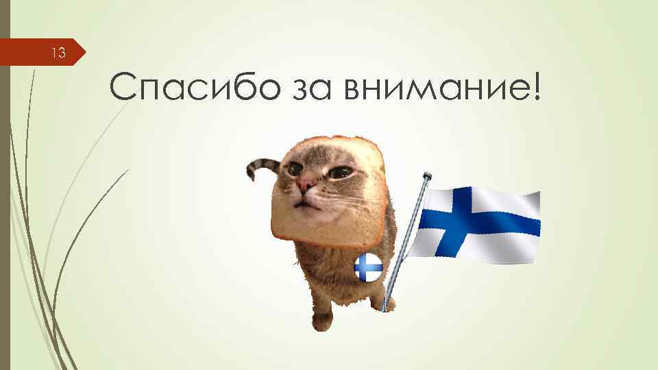 13 Спасибо за внимание! 