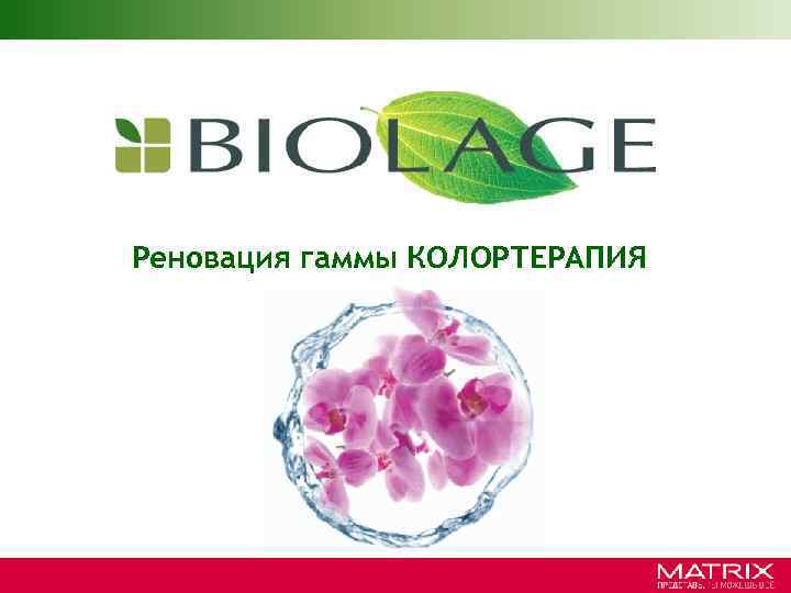 Реновация гаммы КОЛОРТЕРАПИЯ 