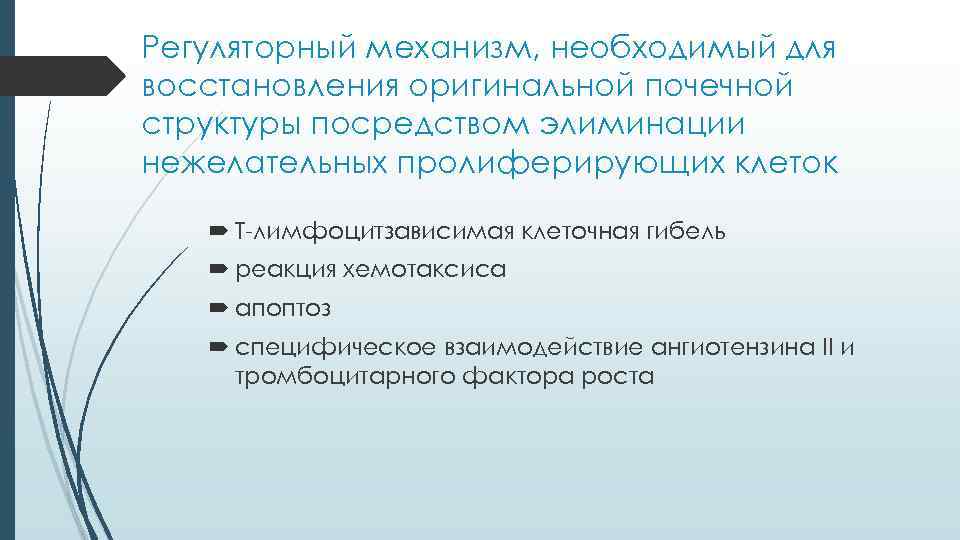 Регуляторный механизм, необходимый для восстановления оригинальной почечной структуры посредством элиминации нежелательных пролиферирующих клеток Т-лимфоцитзависимая
