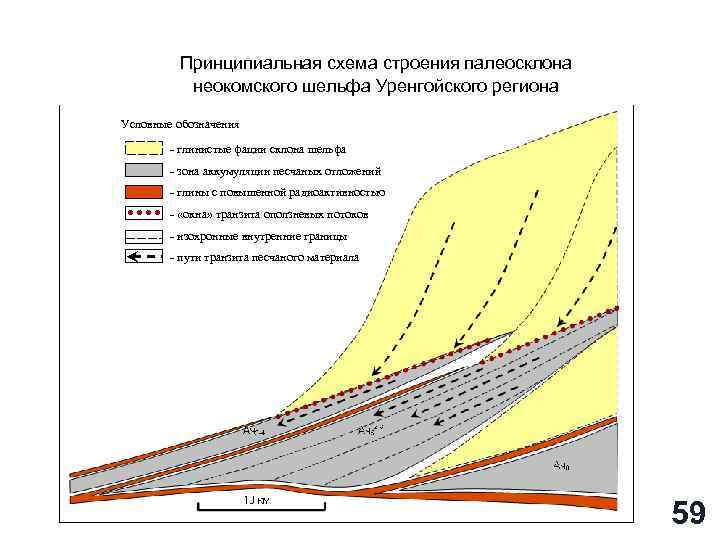 Принципиальная схема строения палеосклона неокомского шельфа Уренгойского региона Условные обозначения - глинистые фации склона