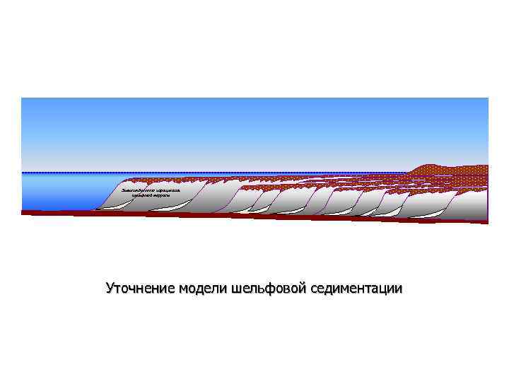 Элемент бокового наращивания шельфовой террасы Уточнение модели шельфовой седиментации 