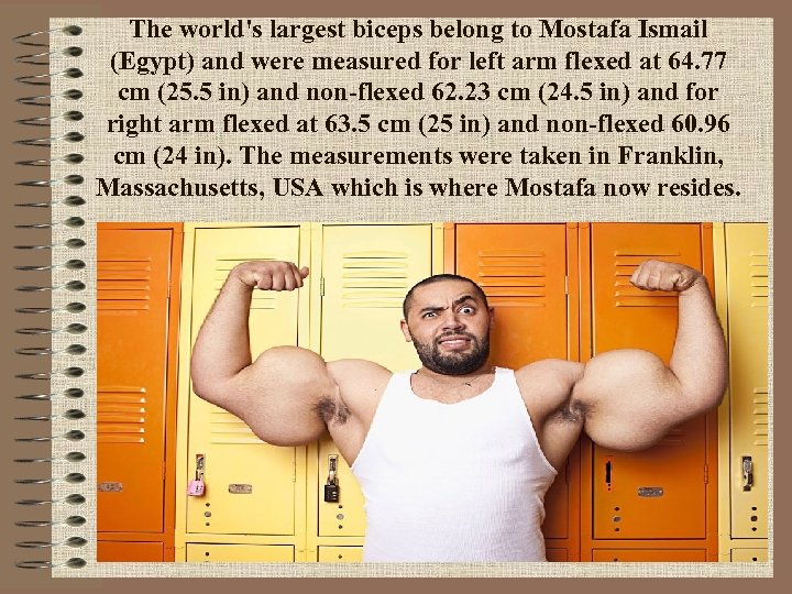The world's largest biceps belong to Mostafa Ismail (Egypt) and were measured for left