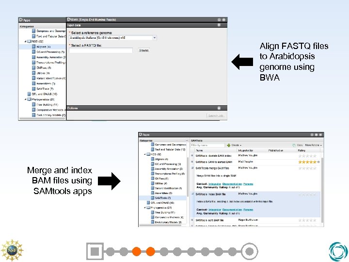 Align FASTQ files to Arabidopsis genome using BWA Merge and index BAM files using