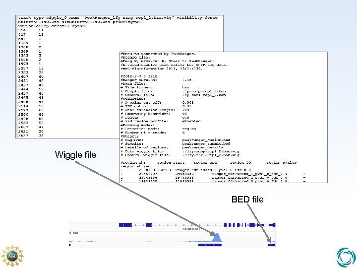Wiggle file BED file 