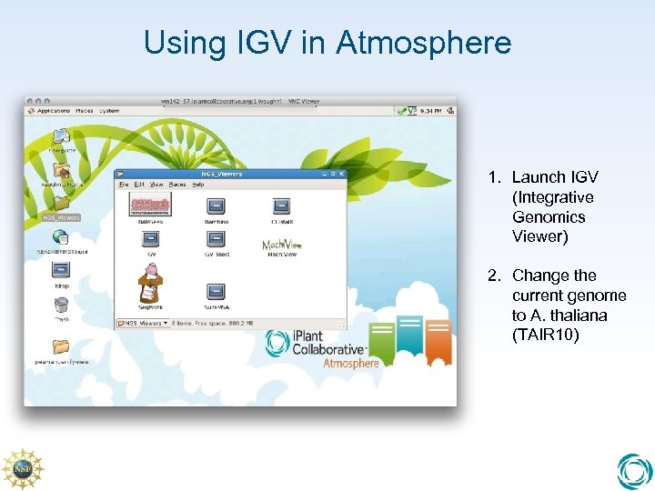 Using IGV in Atmosphere 1. Launch IGV (Integrative Genomics Viewer) 2. Change the current