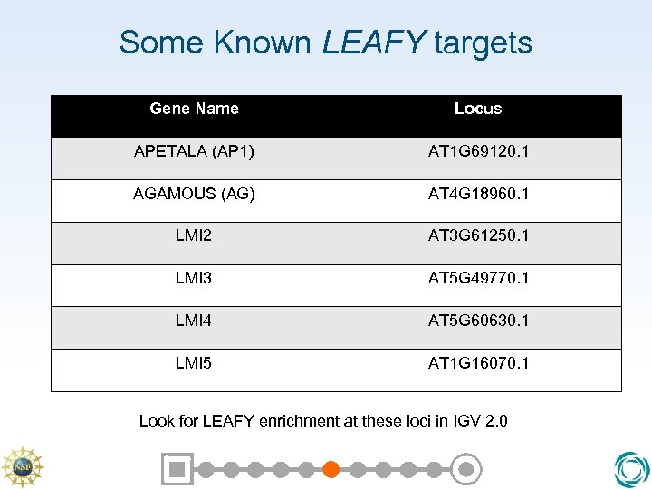 Some Known LEAFY targets Gene Name Locus APETALA (AP 1) AT 1 G 69120.