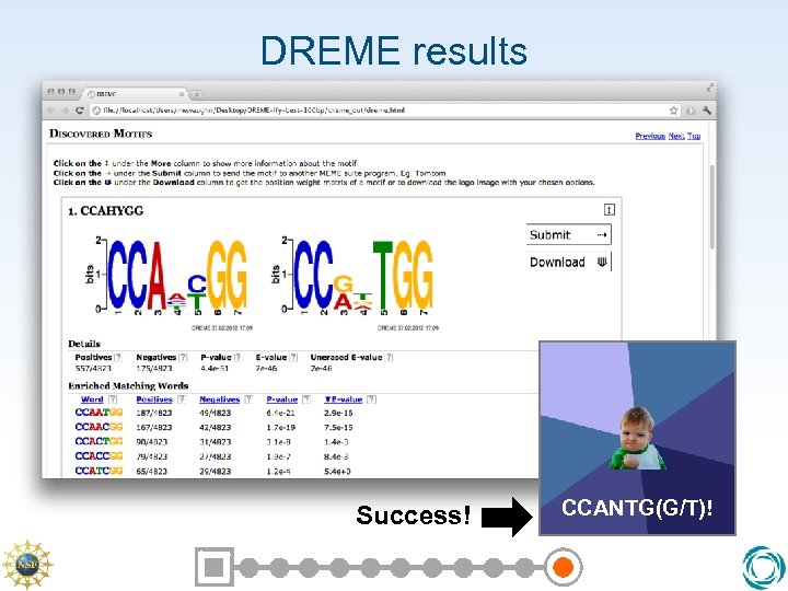 DREME results Success! CCANTG(G/T)! 