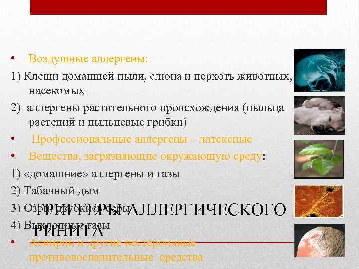  • Воздушные аллергены: 1) Клещи домашней пыли, слюна и перхоть животных, насекомых 2)