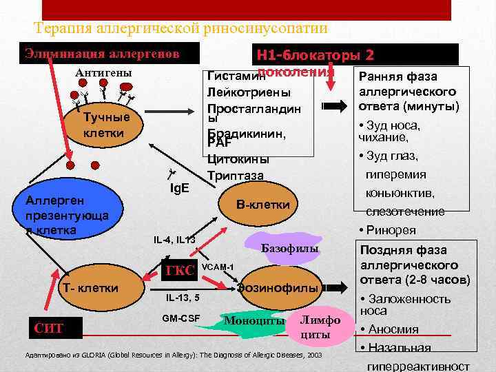 Терапия аллергической риносинусопатии Элиминация аллергенов Антигены Тучные клетки Аллерген презентующа я клетка Ig. E