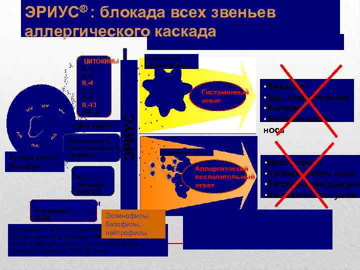 ЭРИУС® : блокада всех звеньев аллергического каскада Ранняя фаза воспалительного ответа ГИСТАМИН Тучная клетка