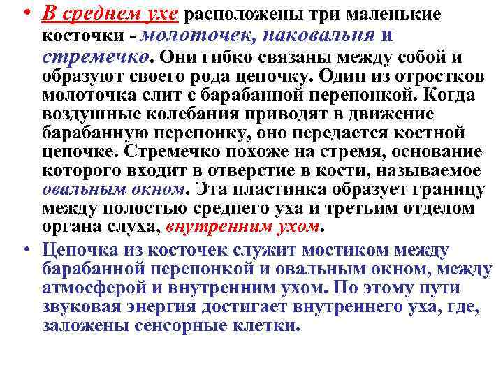  • В среднем ухе расположены три маленькие косточки - молоточек, наковальня и стремечко.