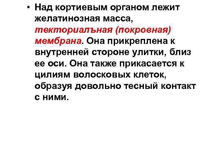  • Над кортиевым органом лежит желатинозная масса, текториалъная (покровная) мембрана. Она прикреплена к