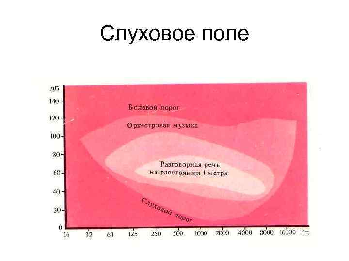 Слуховое поле 