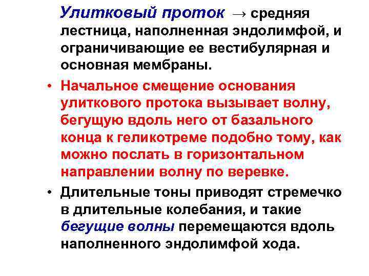 Улитковый проток → средняя лестница, наполненная эндолимфой, и ограничивающие ее вестибулярная и основная мембраны.