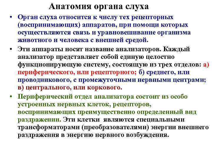 Анатомия органа слуха • Орган слуха относится к числу тех рецепторных (воспринимающих) аппаратов, при