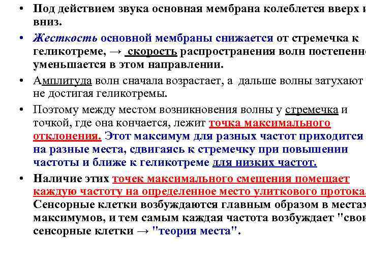  • Под действием звука основная мембрана колеблется вверх и вниз. • Жесткость основной