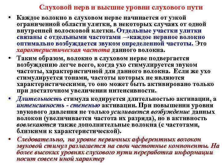 Слуховой нерв и высшие уровни слухового пути • Каждое волокно в слуховом нерве начинается