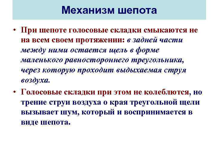 Механизм шепота • При шепоте голосовые складки смыкаются не на всем своем протяжении: в