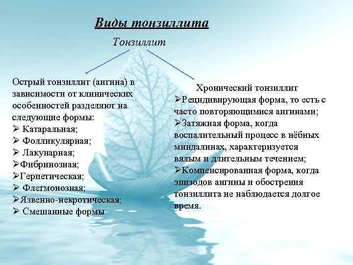 Виды тонзиллита Тонзиллит Острый тонзиллит (ангина) в зависимости от клинических особенностей разделяют на следующие