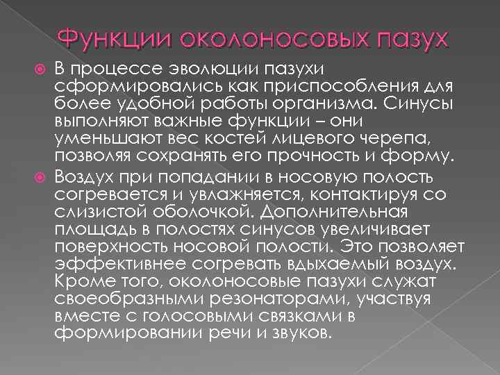 Функции околоносовых пазух В процессе эволюции пазухи сформировались как приспособления для более удобной работы