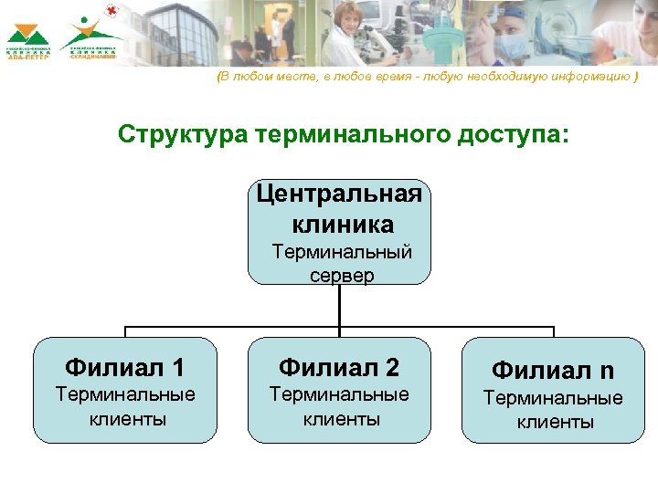 (В любом месте, в любое время - любую необходимую информацию ) Структура терминального доступа: