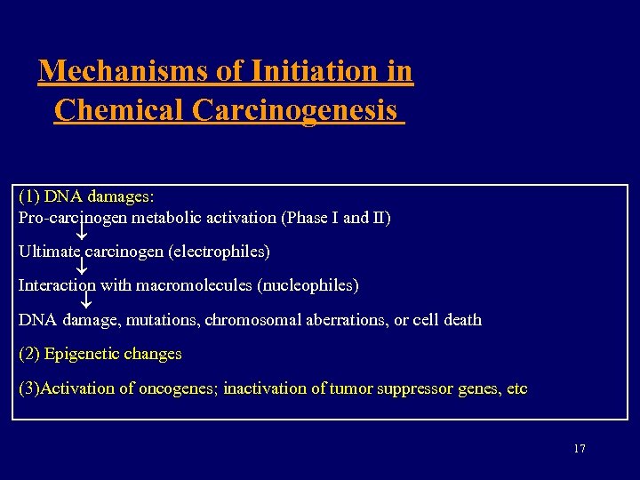 Mechanisms of Initiation in Chemical Carcinogenesis (1) DNA damages: Pro-carcinogen metabolic activation (Phase I