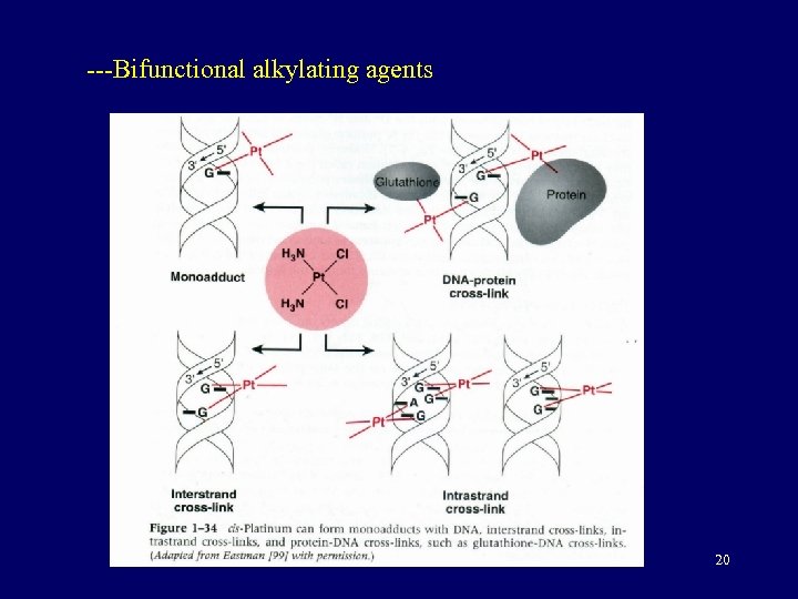 ---Bifunctional alkylating agents 20 