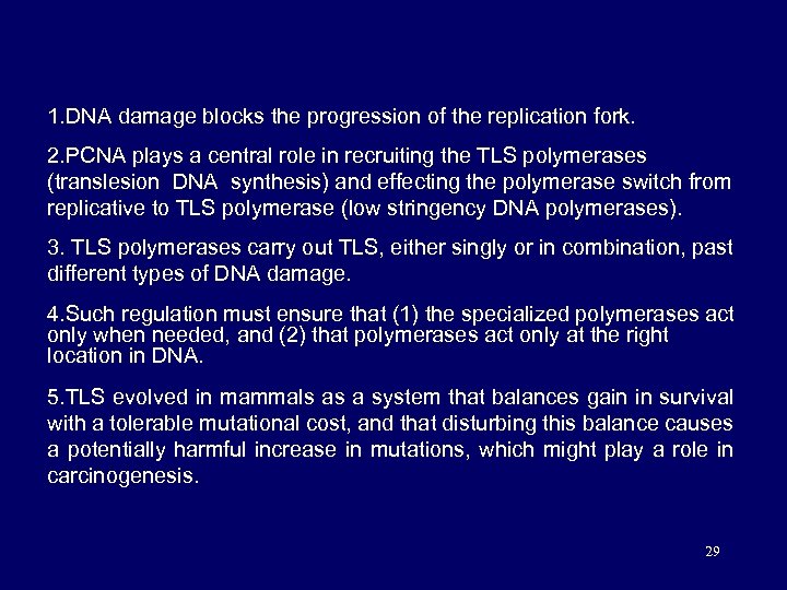 1. DNA damage blocks the progression of the replication fork. 2. PCNA plays a