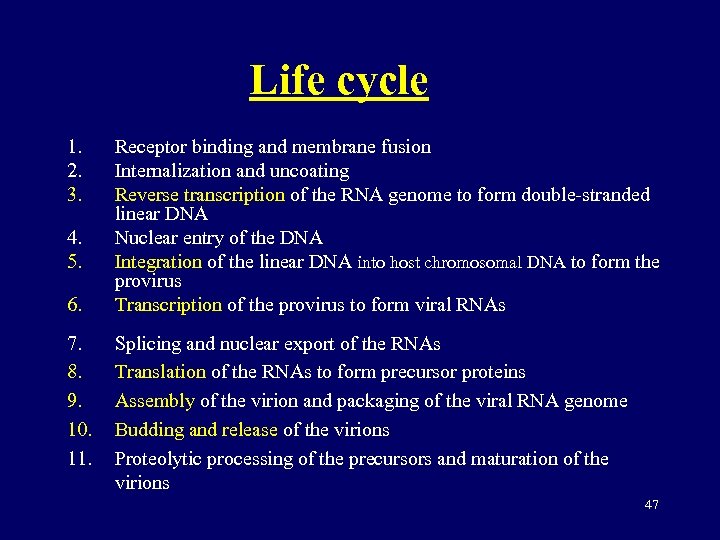 Life cycle 1. 2. 3. 4. 5. 6. 7. 8. 9. 10. 11. Receptor