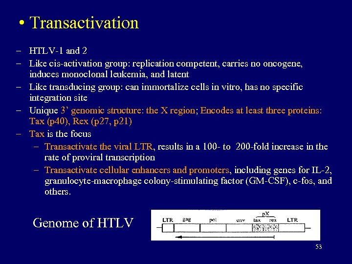  • Transactivation – HTLV-1 and 2 – Like cis-activation group: replication competent, carries