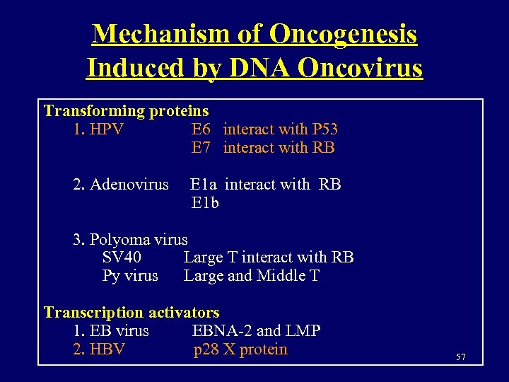 Mechanism of Oncogenesis Induced by DNA Oncovirus Transforming proteins 1. HPV E 6 interact