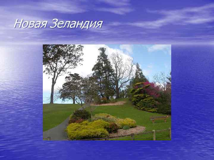 Новая Зеландия 
