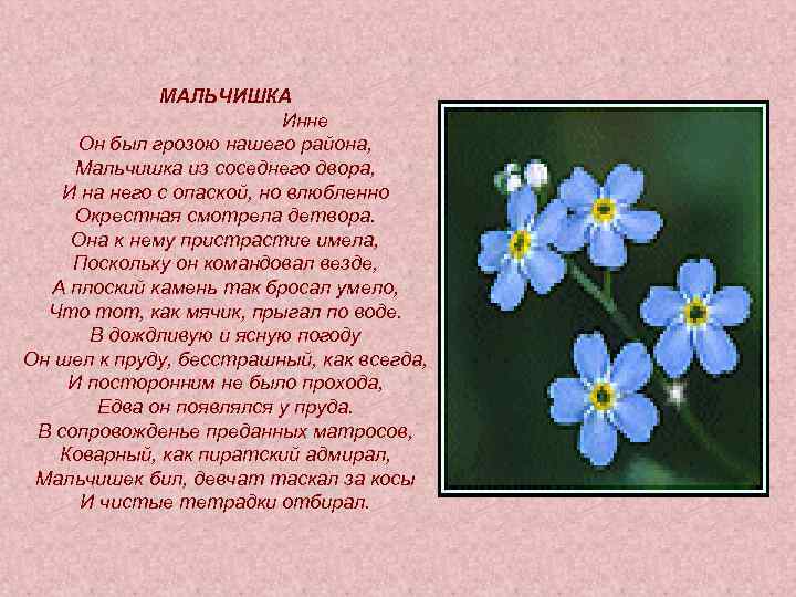 МАЛЬЧИШКА Инне Он был грозою нашего района, Мальчишка из соседнего двора, И на него
