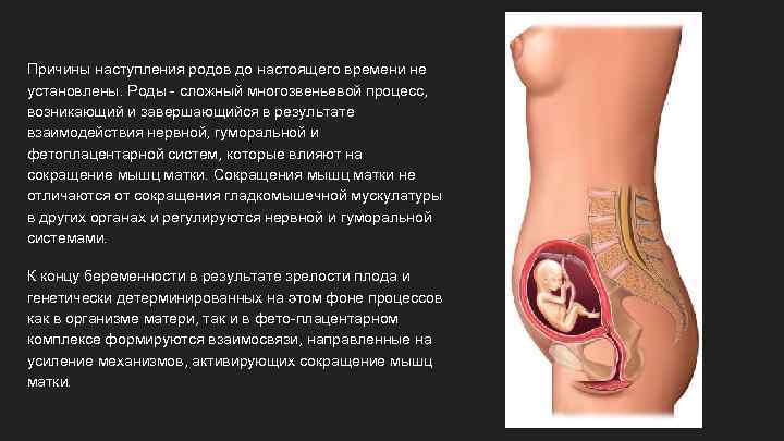 Причины наступления родов до настоящего времени не установлены. Роды - сложный многозвеньевой процесс, возникающий