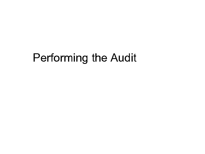 Performing the Audit 
