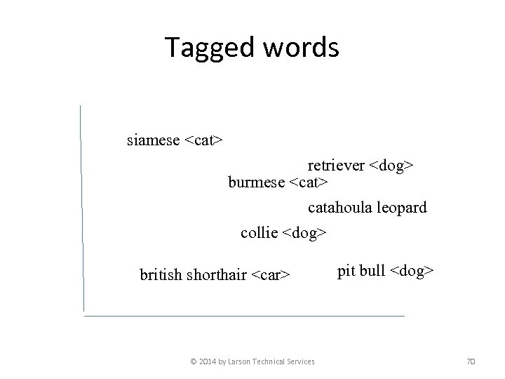 Tagged words siamese <cat> retriever <dog> burmese <cat> catahoula leopard collie <dog> british shorthair