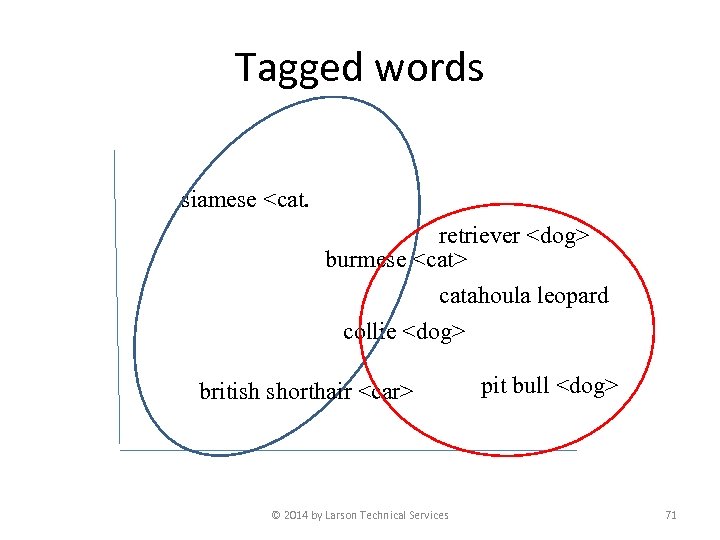 Tagged words siamese <cat. retriever <dog> burmese <cat> catahoula leopard collie <dog> british shorthair