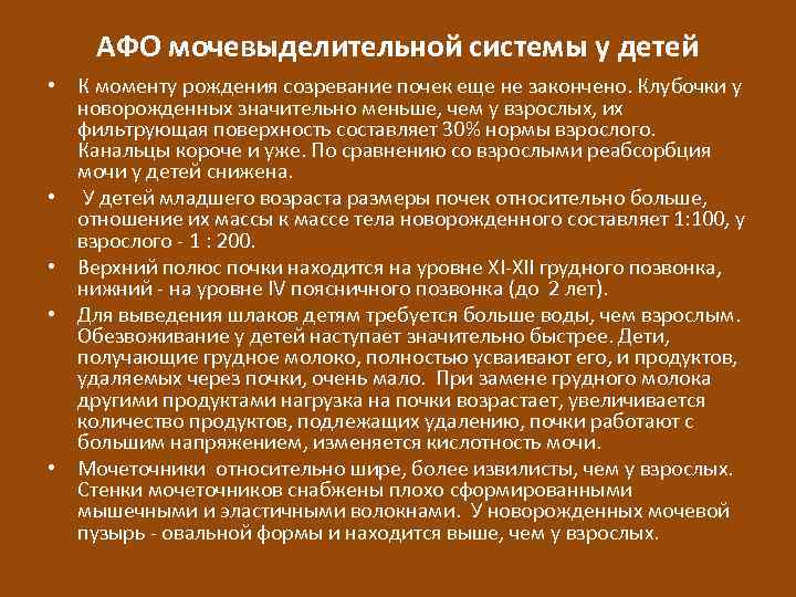 Презентация анатомо физиологические особенности мочевыделительной системы