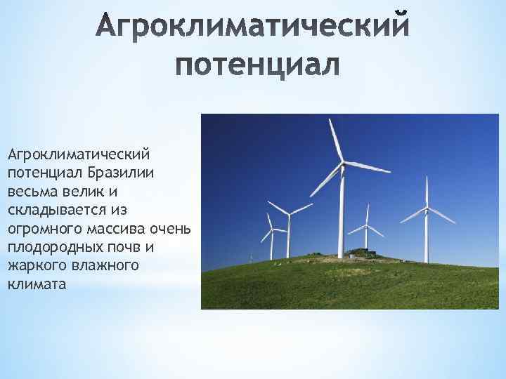 Агроклиматический потенциал Бразилии весьма велик и складывается из огромного массива очень плодородных почв и
