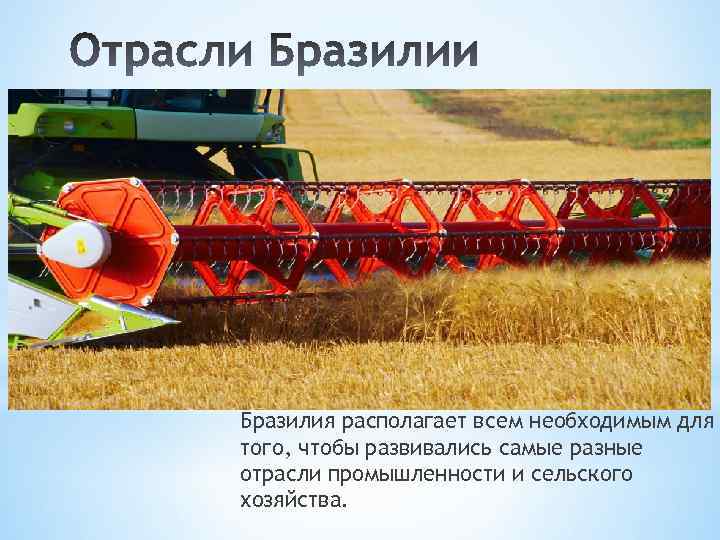 Бразилия располагает всем необходимым для того, чтобы развивались самые разные отрасли промышленности и сельского