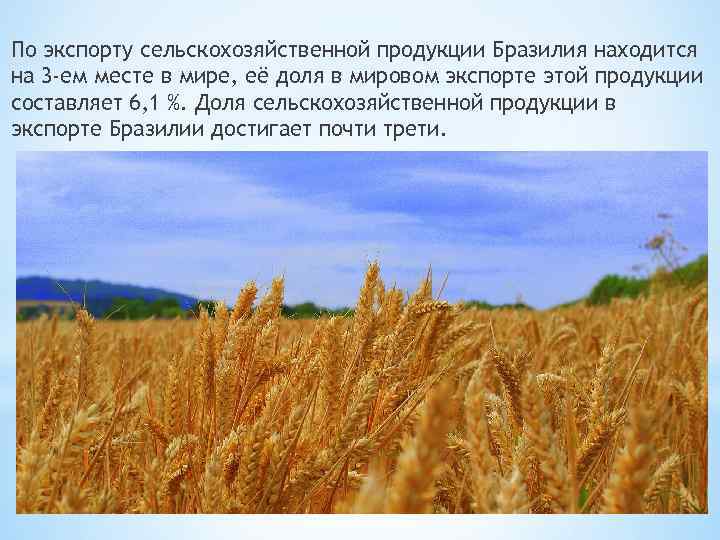 По экспорту сельскохозяйственной продукции Бразилия находится на 3 -ем месте в мире, её доля