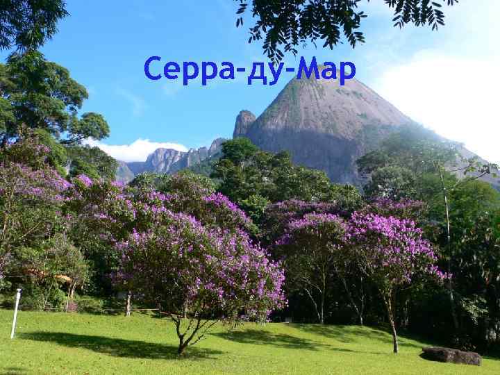 Серра-ду-Мар 