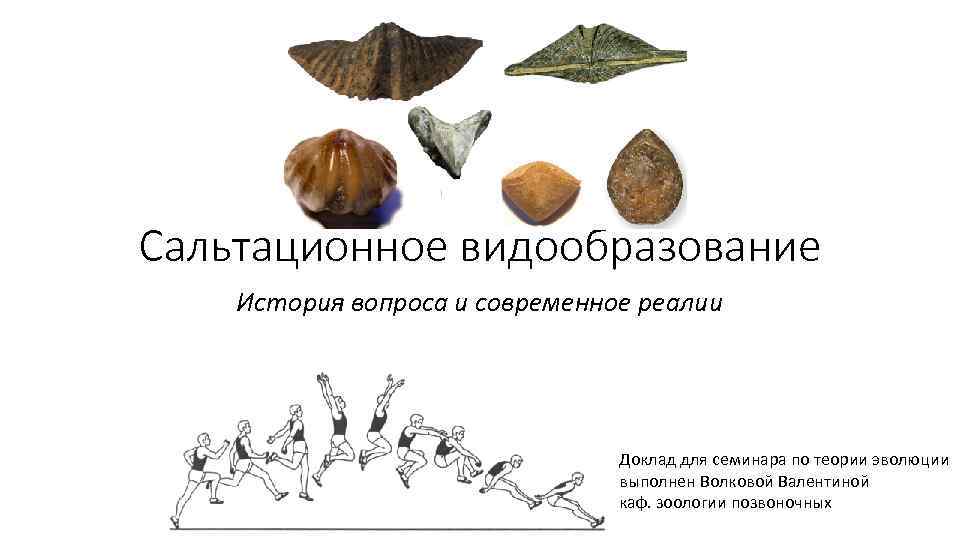 Сальтационное видообразование История вопроса и современное реалии Доклад для семинара по теории эволюции выполнен