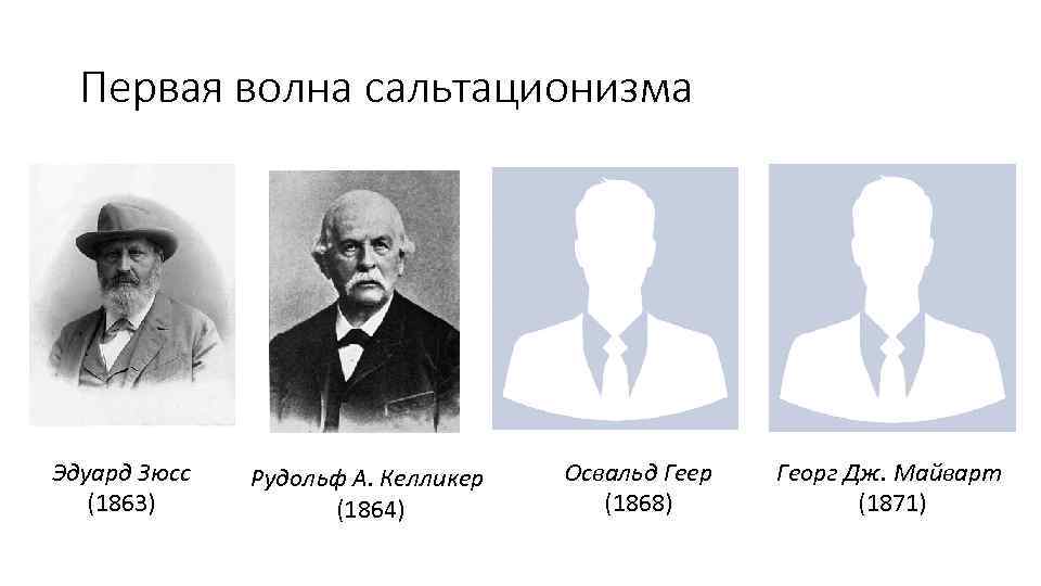 Первая волна сальтационизма Эдуард Зюсс (1863) Рудольф А. Келликер (1864) Освальд Геер (1868) Георг