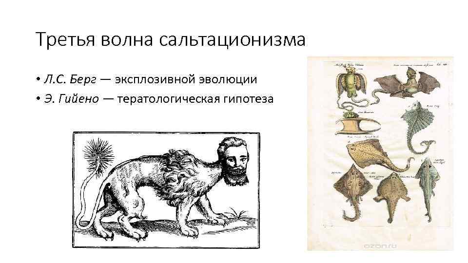 Третья волна сальтационизма • Л. С. Берг — эксплозивной эволюции • Э. Гийено —