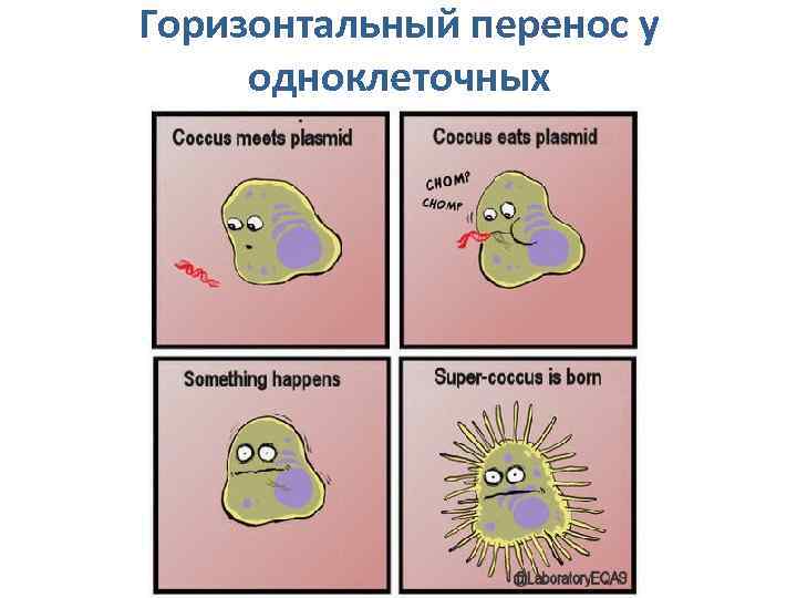Горизонтальный перенос у одноклеточных 